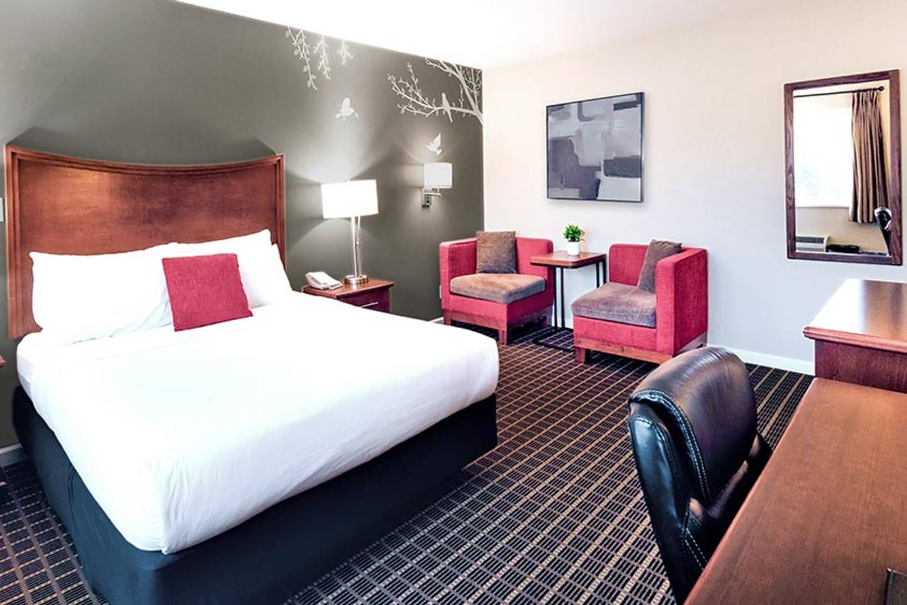 Standard Queen at Gibsons Garden Hotel